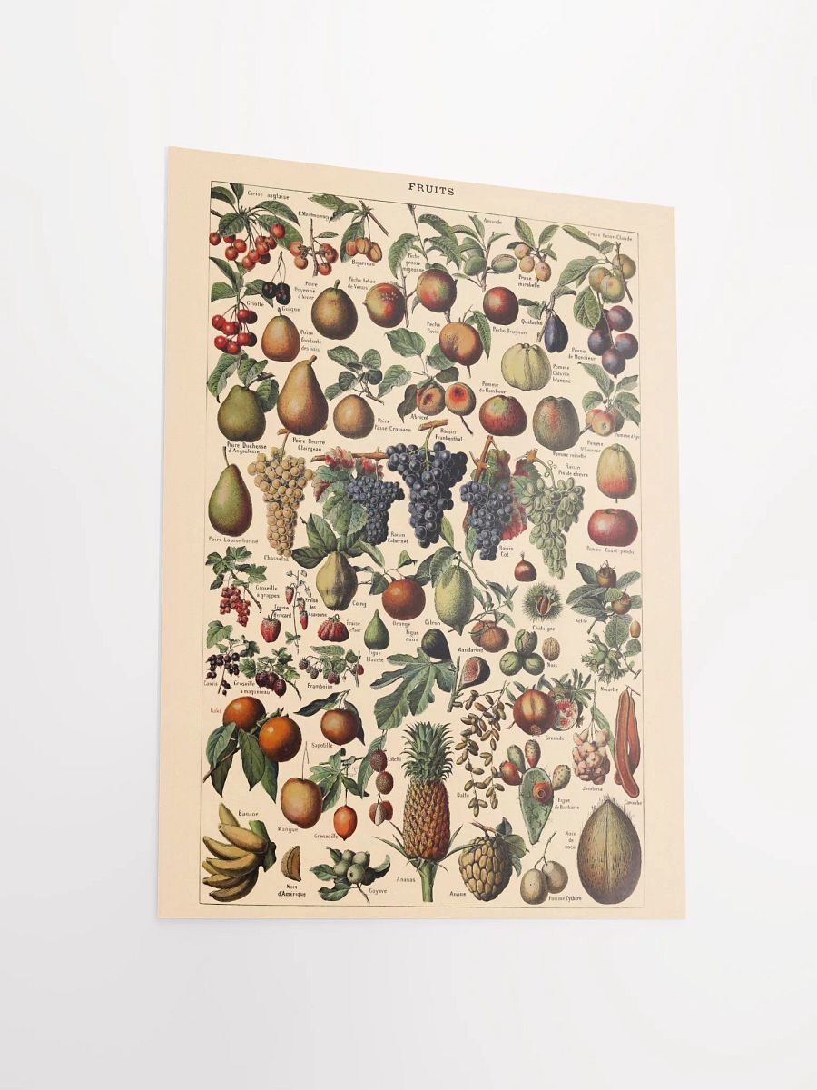 Vintage fruit poster print product image (9)