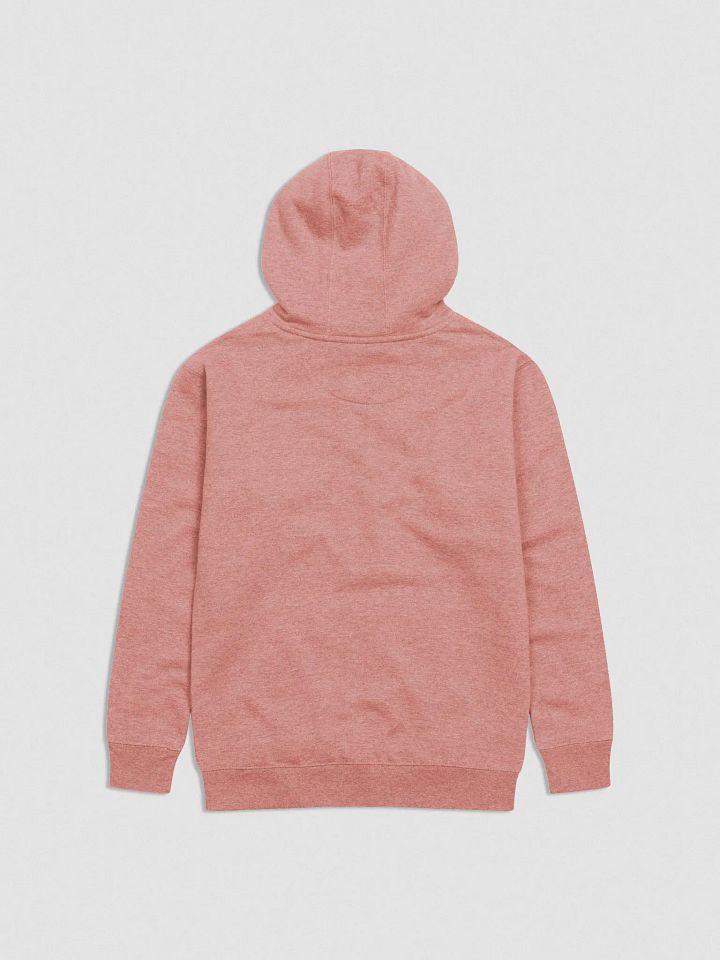 Rimas Zeimys hoodie product image (2)