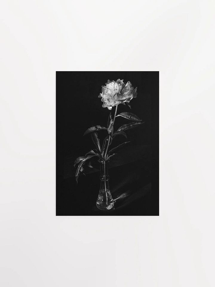 Peony in the Dark - Print product image (2)