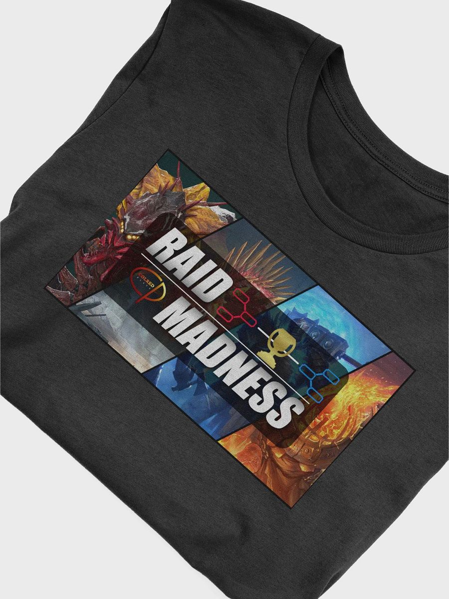 RAID MADNESS 2024 Tee product image (5)