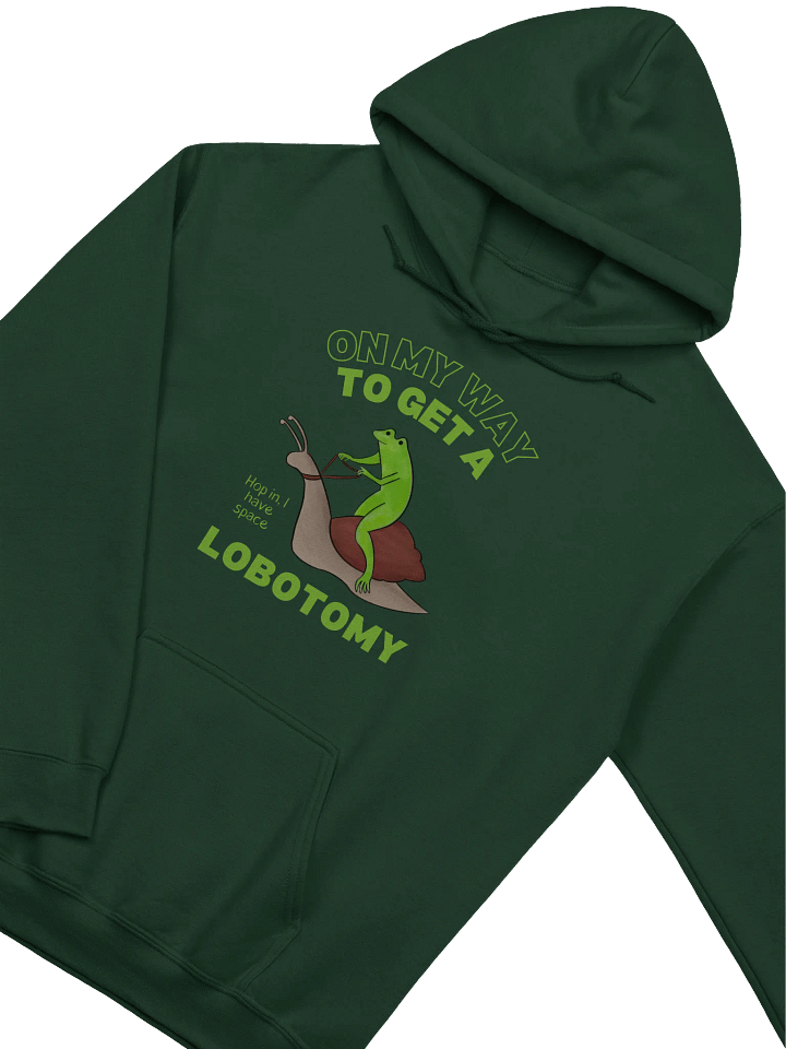 On My Way To Get A Lobotomy Frog On A Snail Hoodie product image (2)