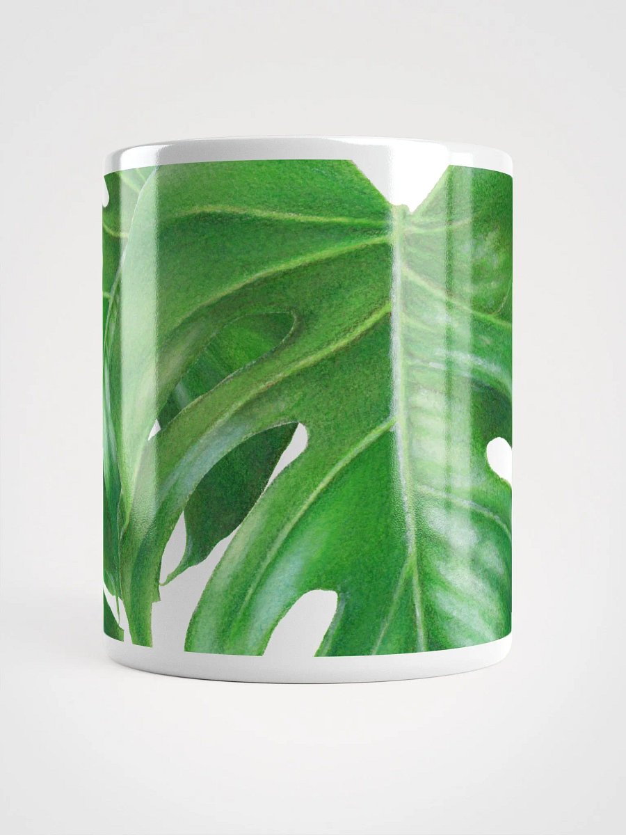 Monstera Leaves product image (5)