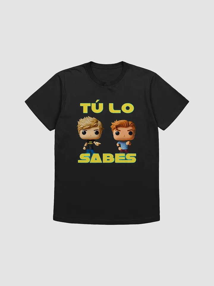 CAMISETA STANDARD LA INDECENTE product image (1)
