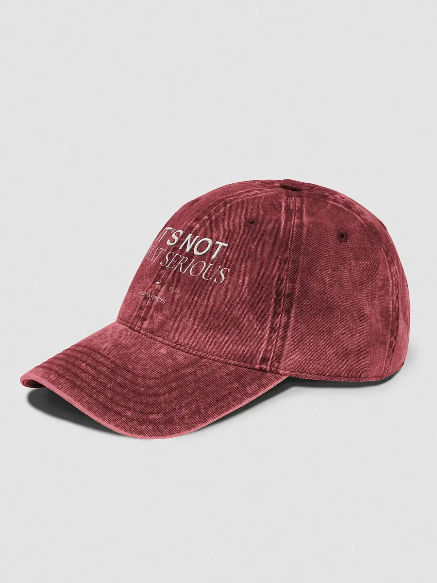 It's Not That Serious Dad Cap product image (9)