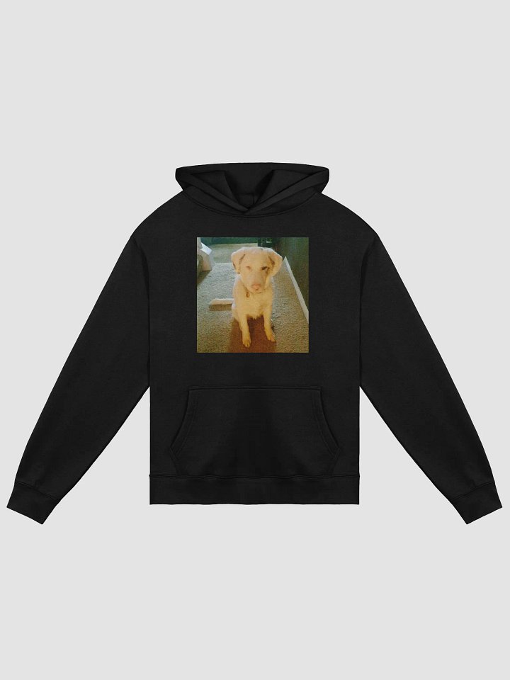 Ghost Dogg Album Hoodie product image (1)
