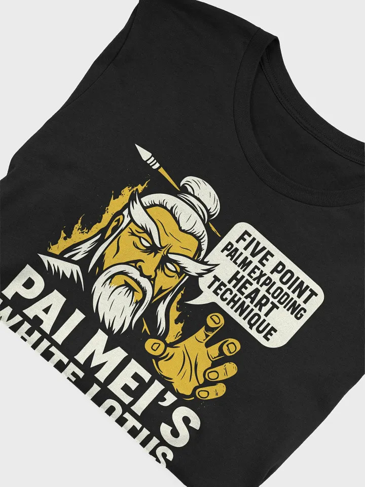 Pai Mei Kung Fu Master T-shirt product image (2)