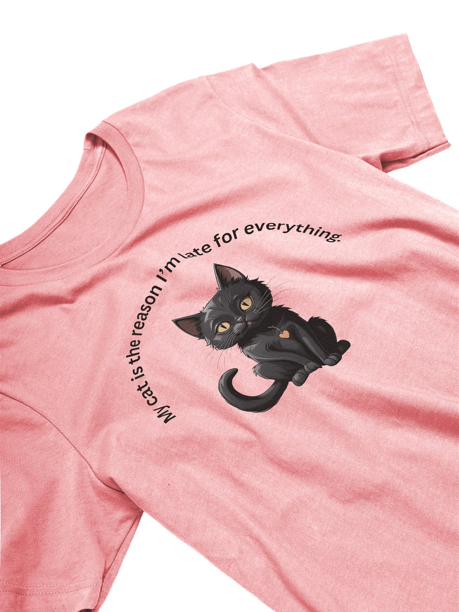Cat Lady product image (3)