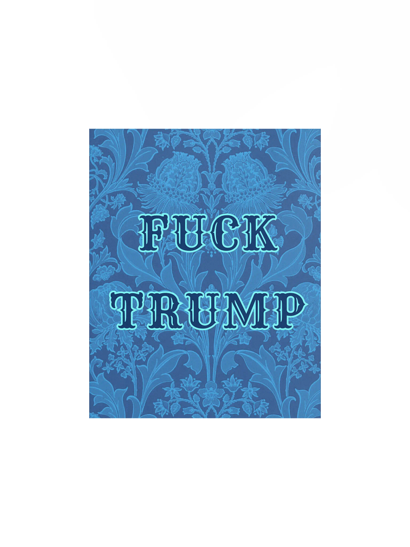 F*ck Trump Blue Vintage Wallpaper Print