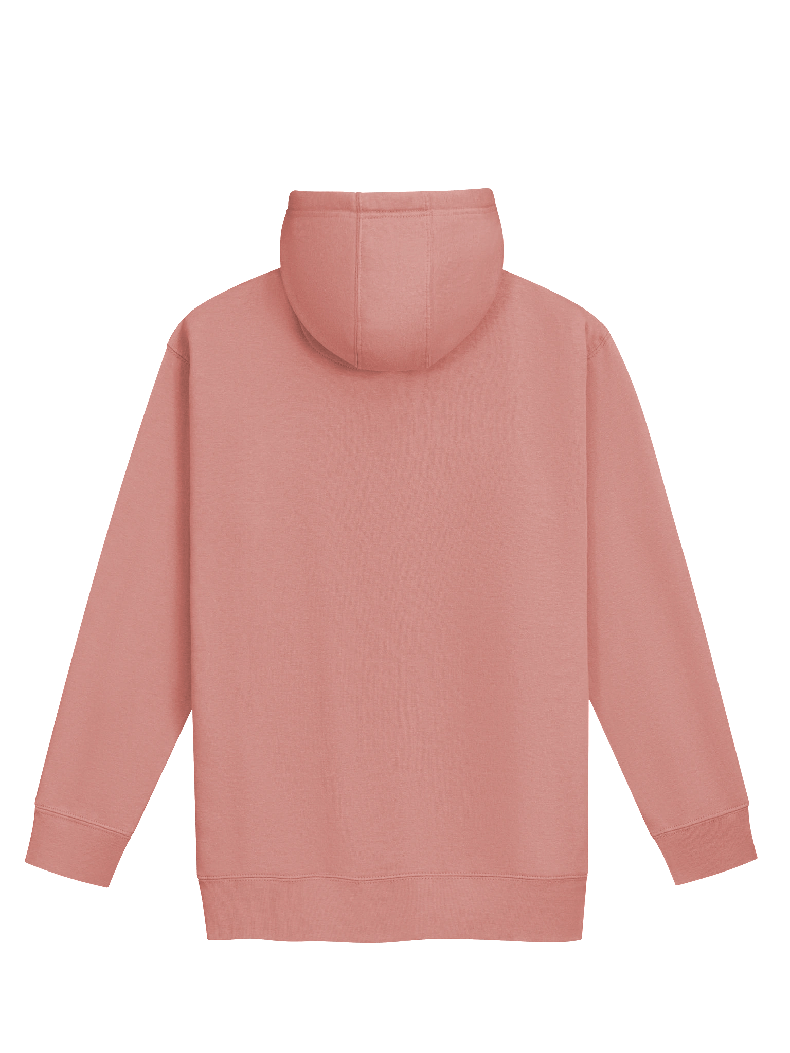 BM Merch Hoodie product image (8)