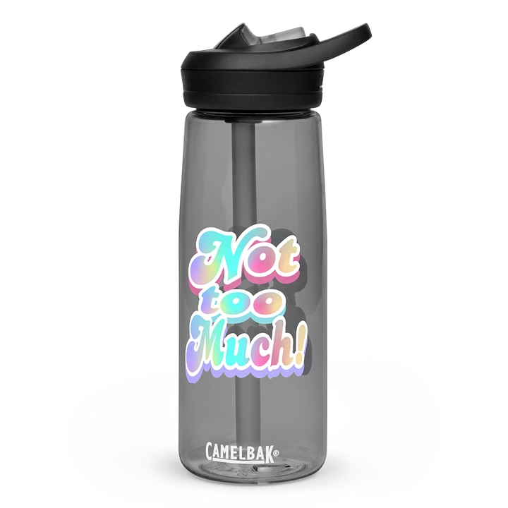 Whimsical Double 'Not Too Much' Water Bottle product image (2)