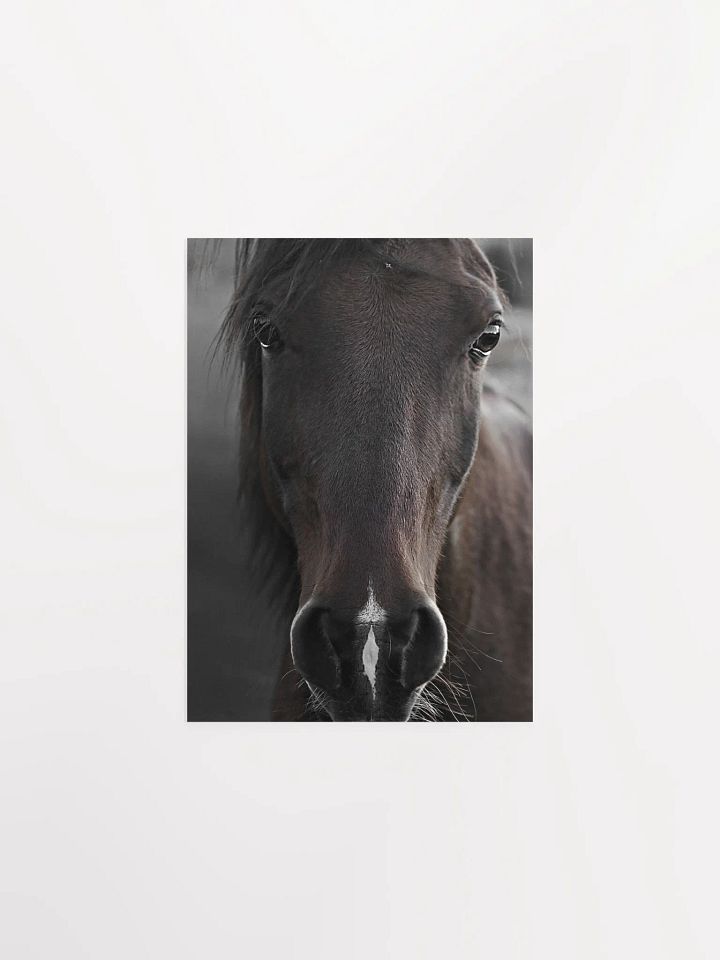 Soulful horse Gaze Poster product image (1)