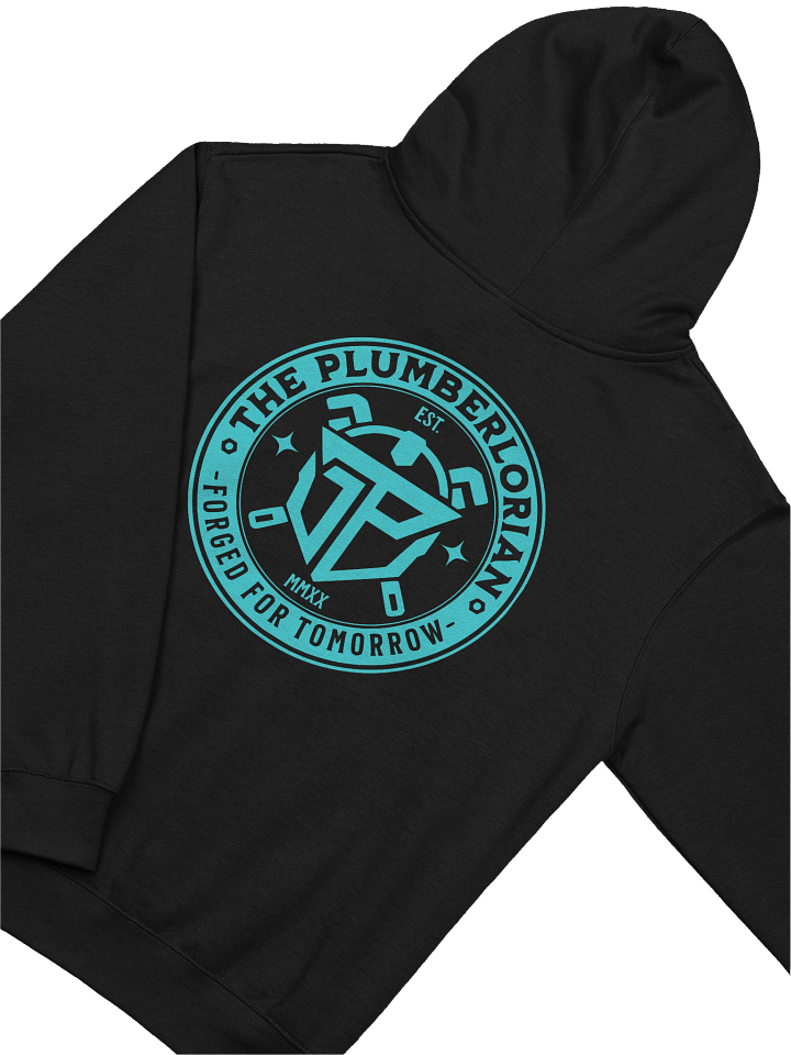 FORGED HOODIE (TEAL LOGO) product image (2)
