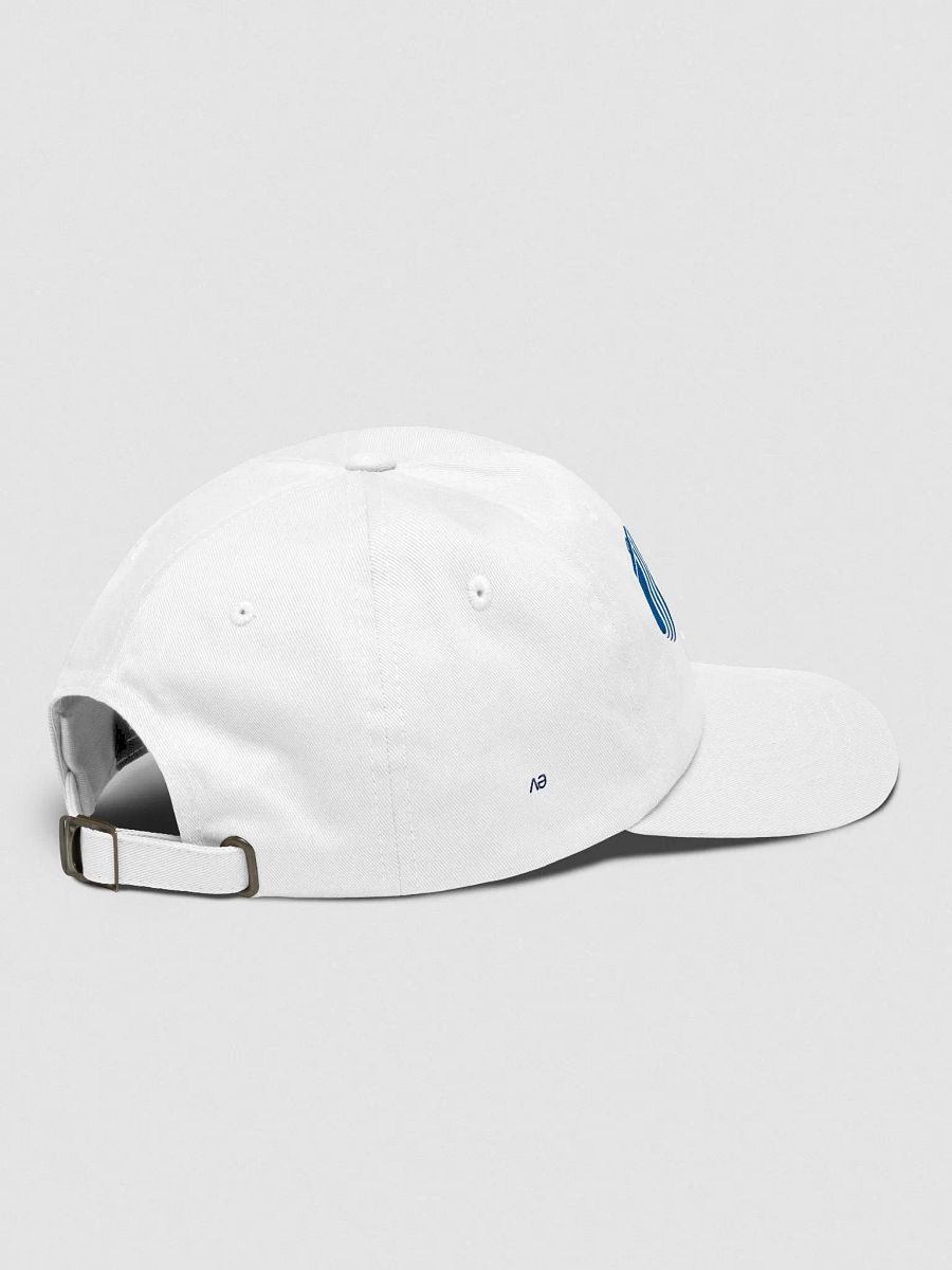 unwanted health fair / white cap product image (4)