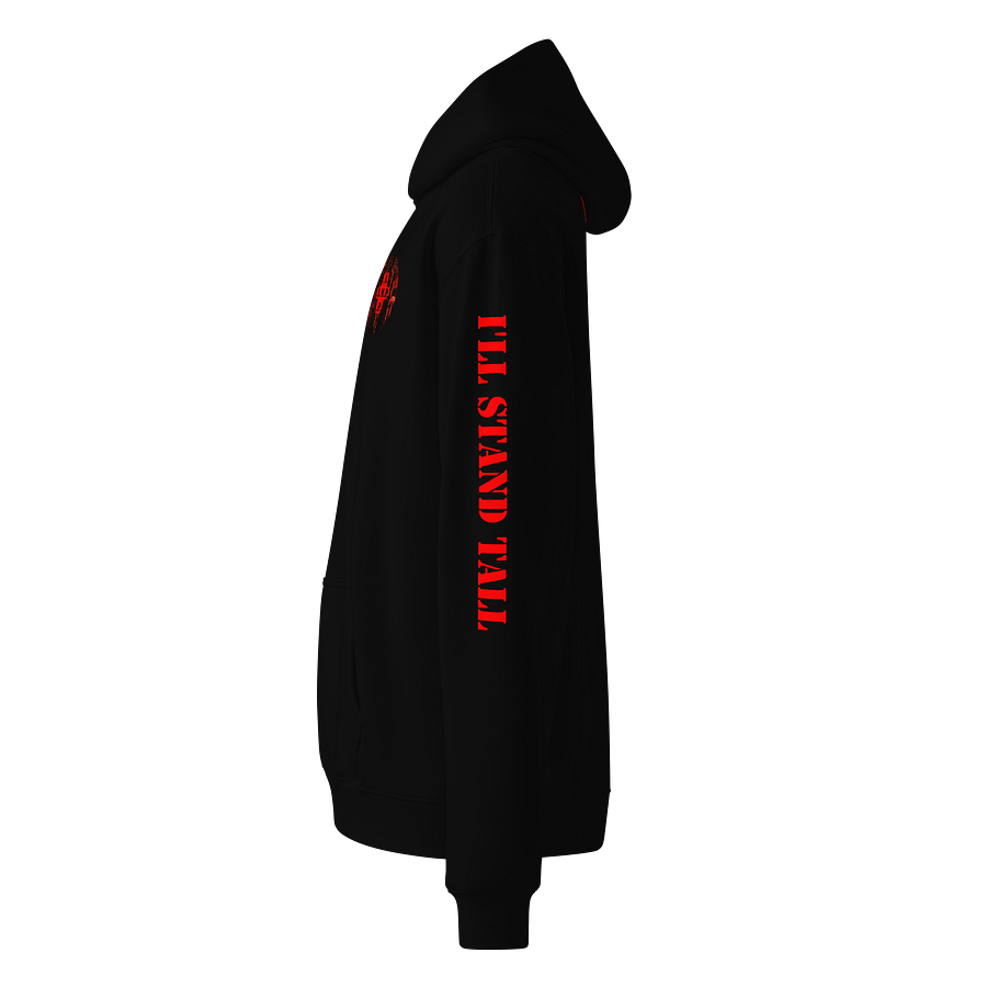 AgentMashPlays Emblem Hoodie product image (10)