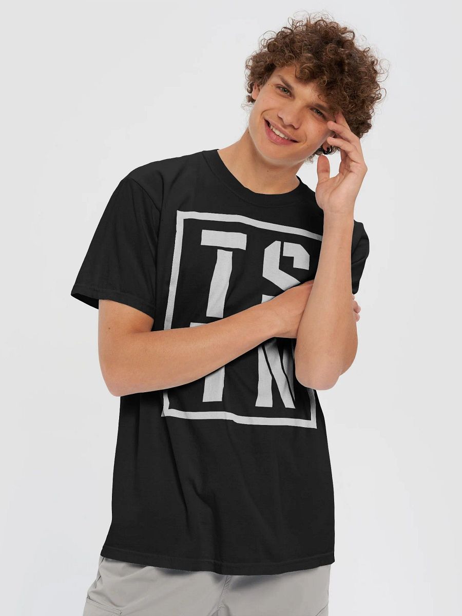 TSTN Heavyweight Tee product image (5)