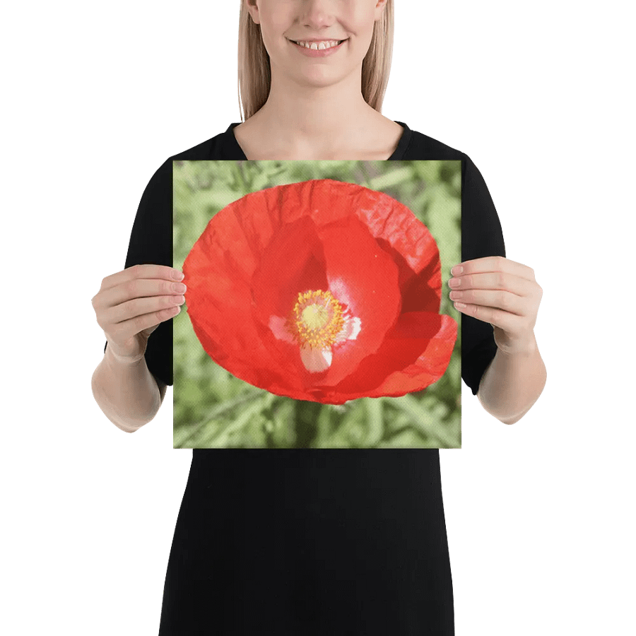 Red Poppy product image (4)