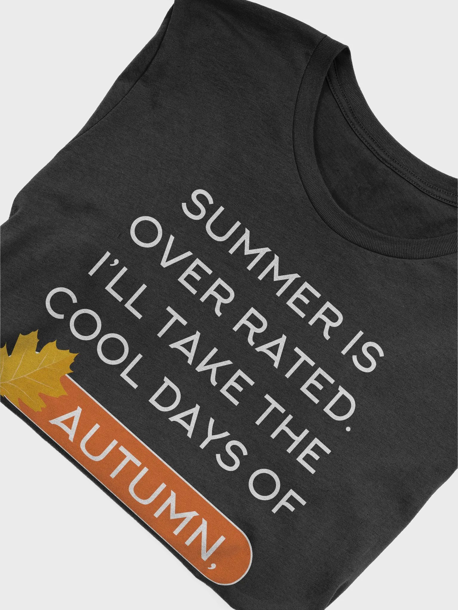 🍂 Summer is Overrated, I'll Take the Cool Days of Autumn T-Shirt | Funny Fall Season Shirt | Cozy Autumn Lover Tee product image (29)