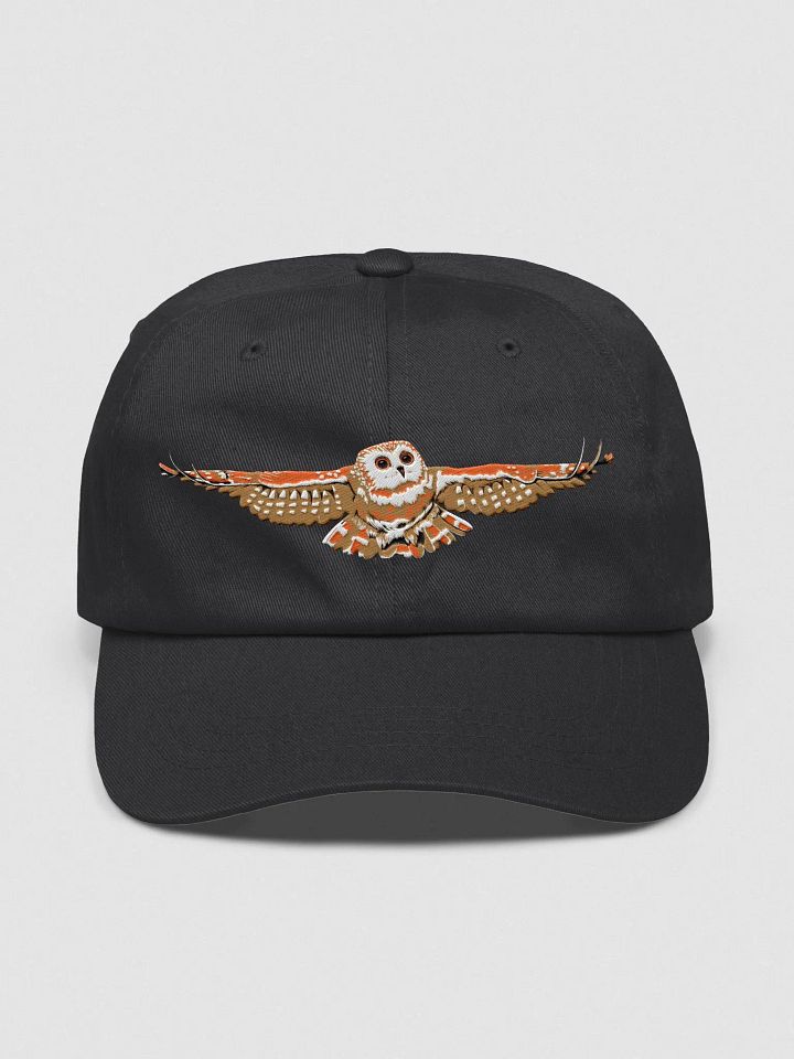 Fall Edition Hat product image (3)