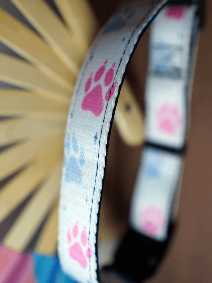 LZ Trans Wolf Paw Collar - White product image (3)