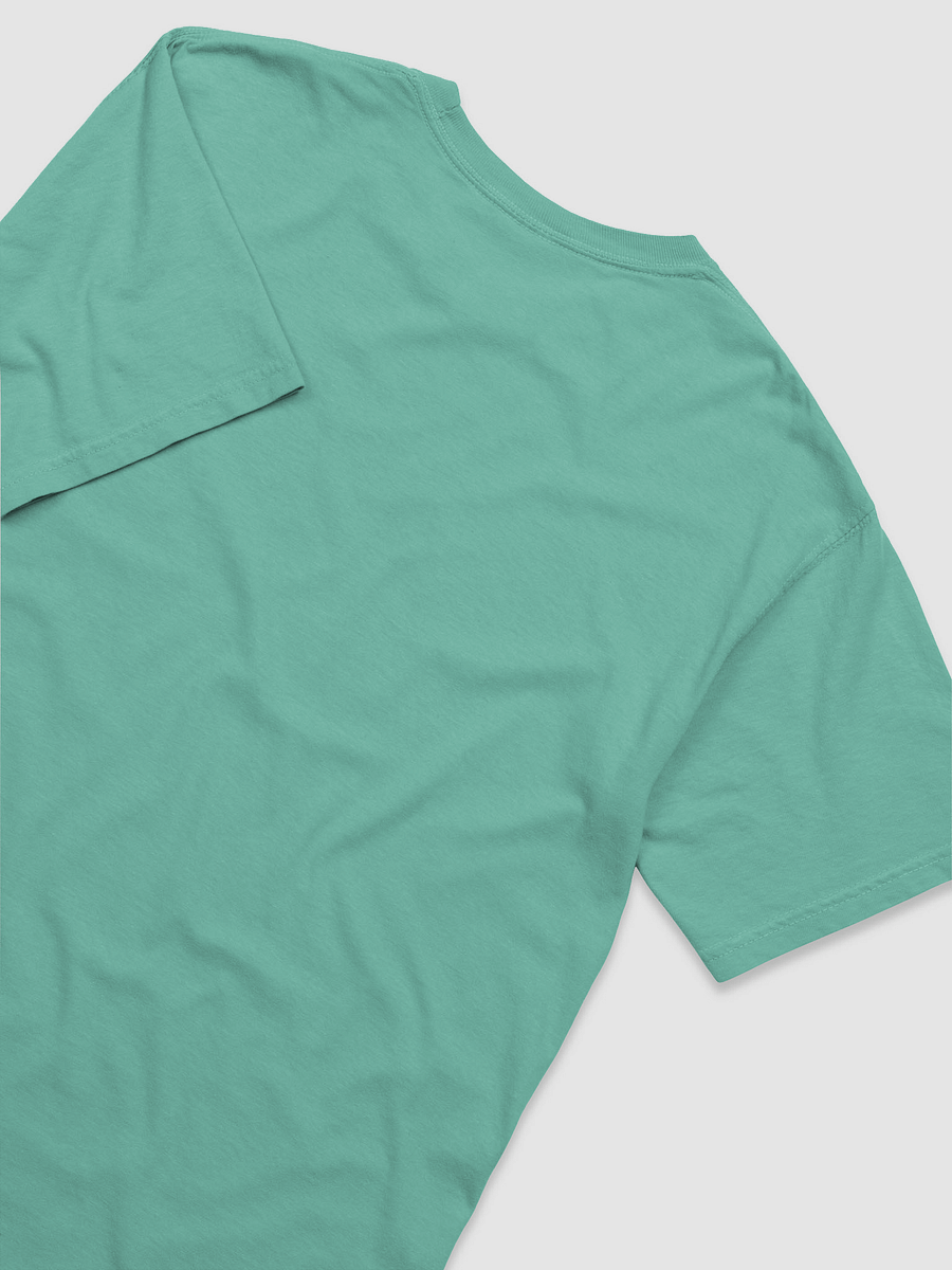 In Omnia Pararus Silhouette Tee product image (16)