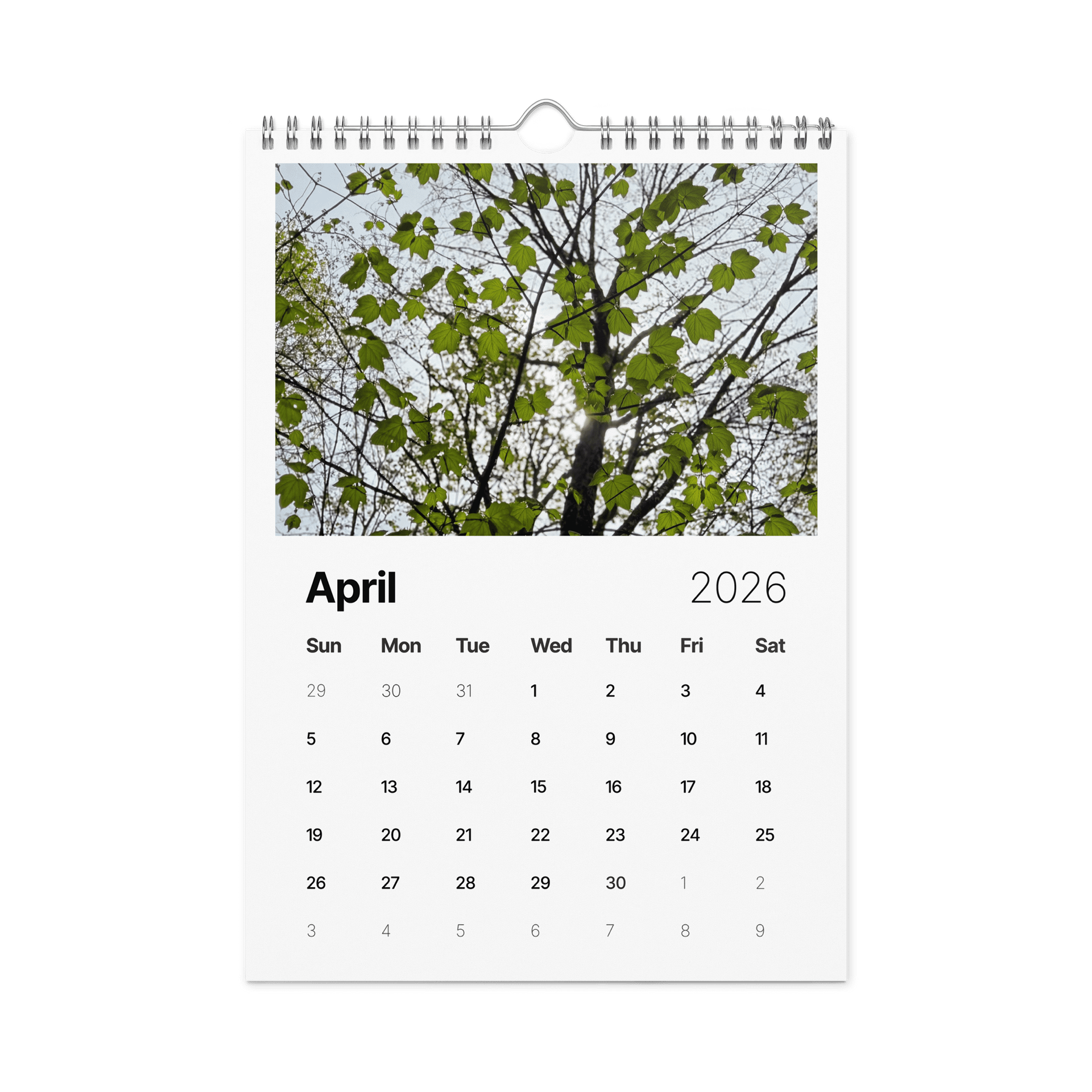 Canopy of Time: 2026 Wall Calendar product image (4)