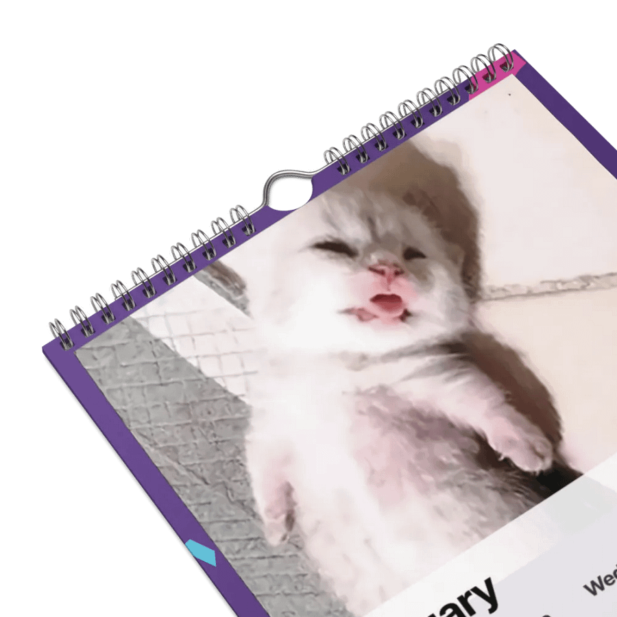 Wall Calendar (2024): Meme Cats product image (9)