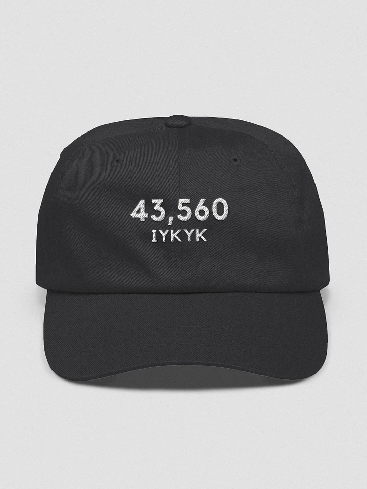 43,560 IYKYK Dad hat style product image (1)