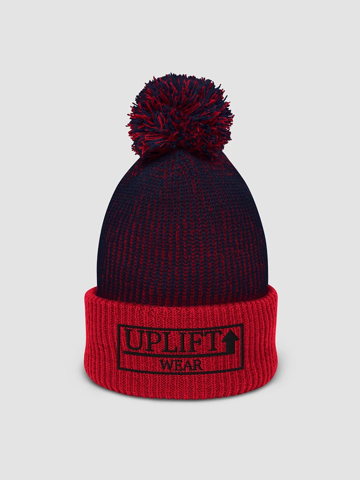 Two-Toned Embroidered Winter Beanie product image (1)