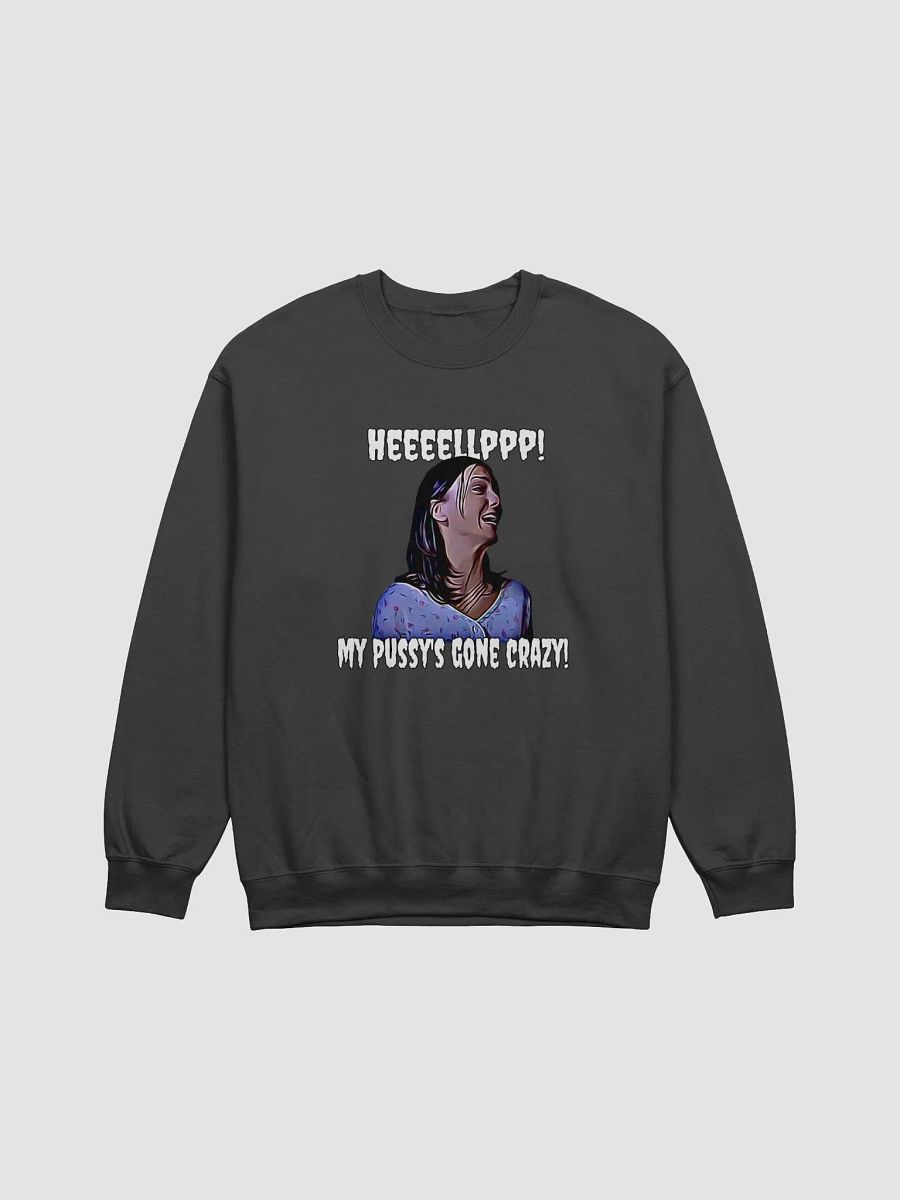Help! my pussy's gone crazy! product image (10)