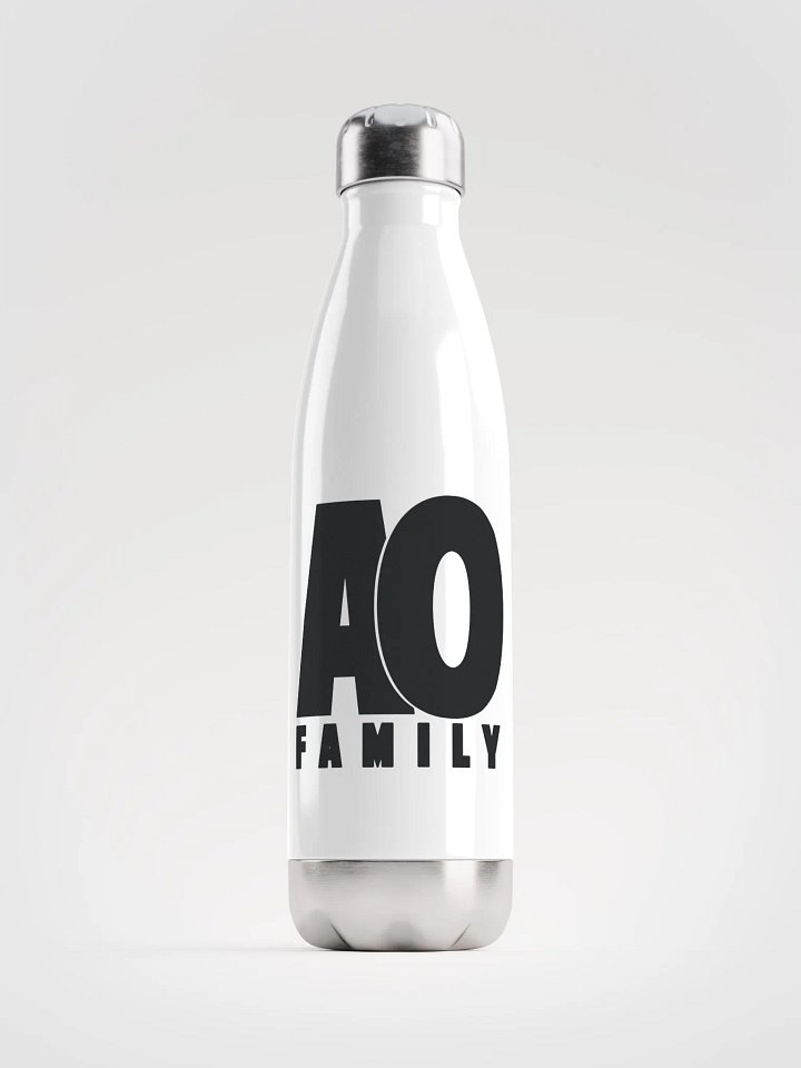 AO Family Stainless Steel Water Bottle product image (1)