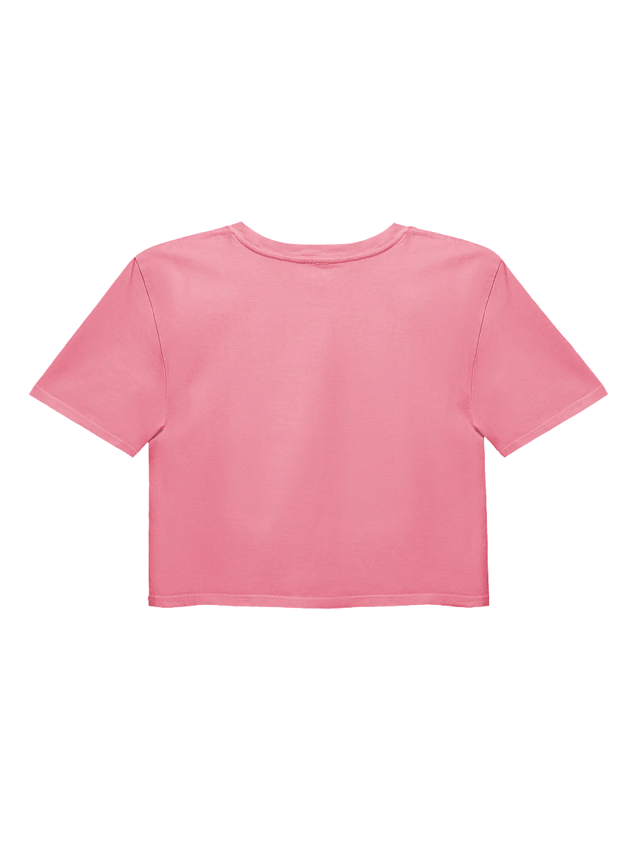 Sinister Sushii Crop Top product image (12)