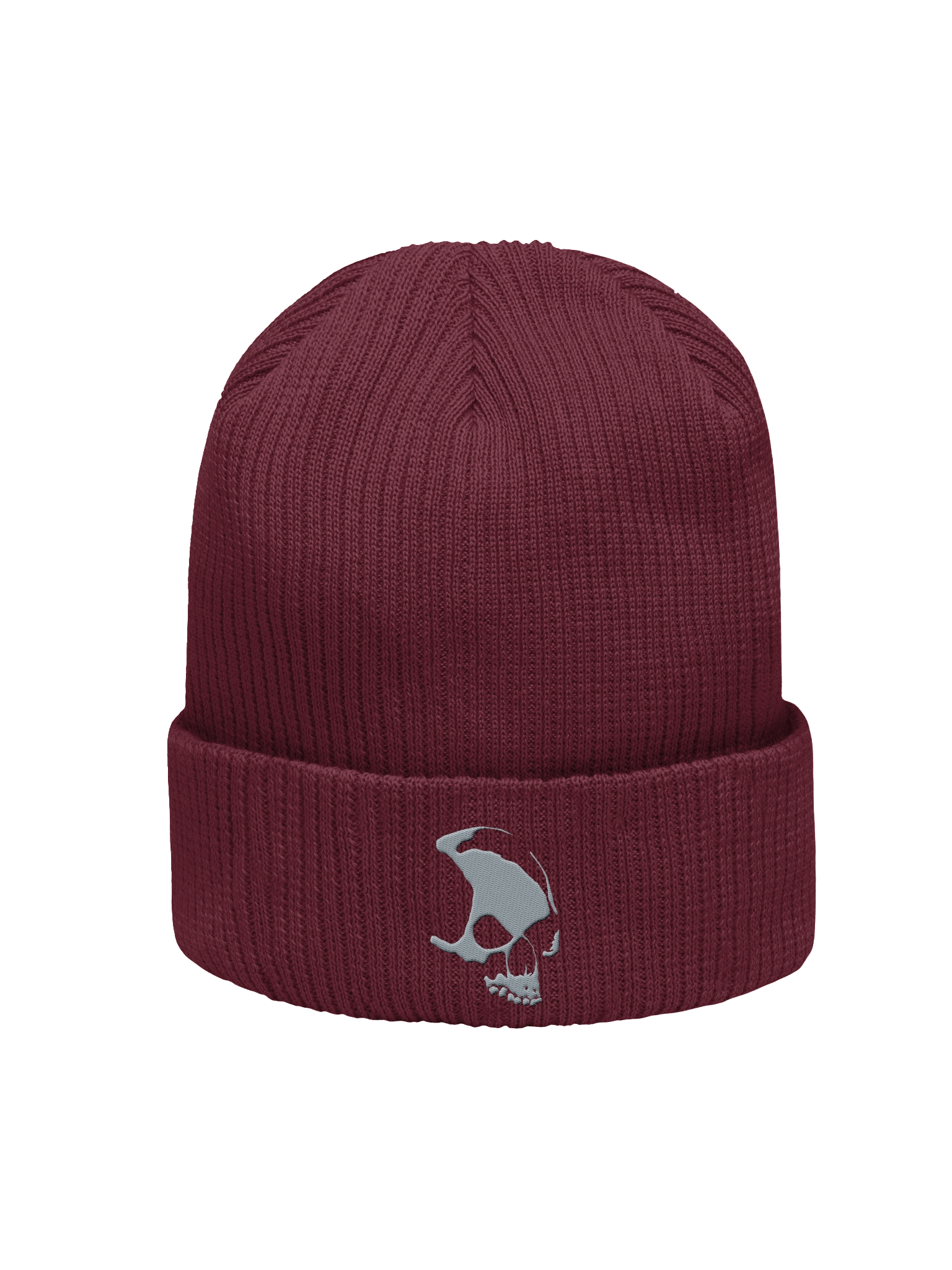 Armada Skull Organic Ribbed Beanie product image (2)