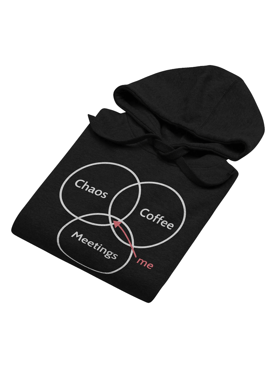 Unisex Hoodie: True PM Venn diagram product image (6)