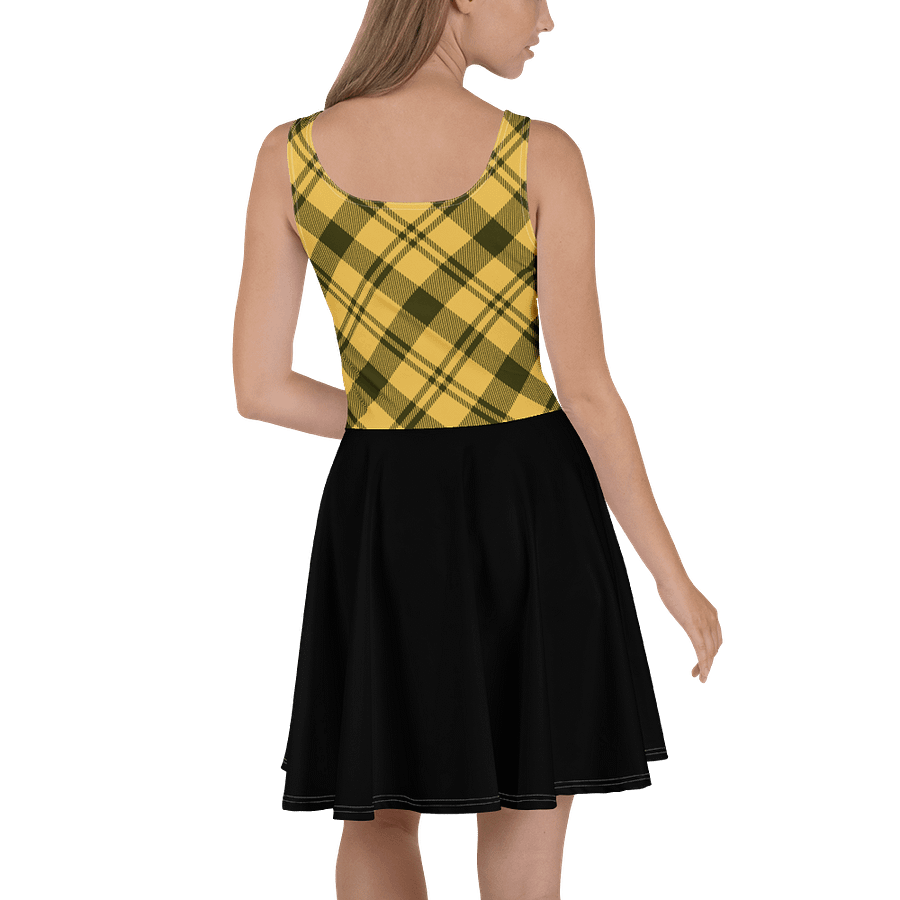 Zabu Plaid Paradise Sleeveless Skater Dress product image (4)