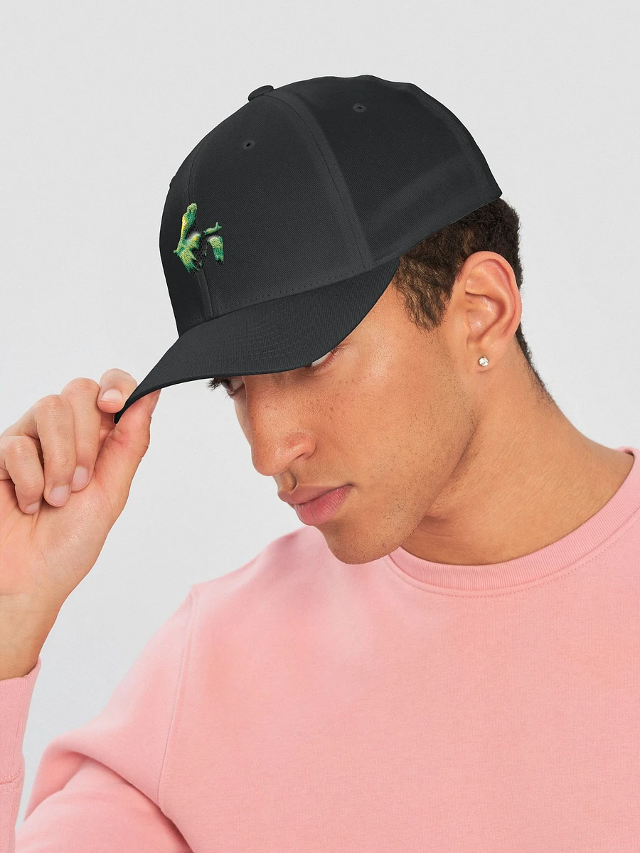 Fitted Hat product image (3)