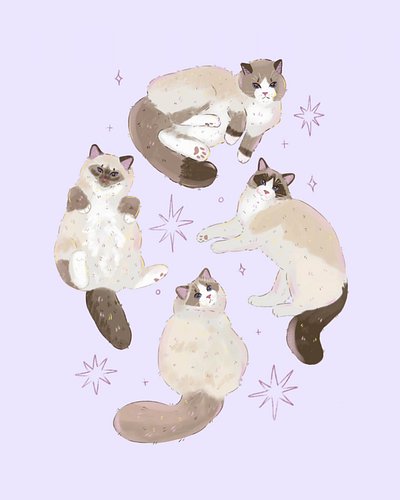 ✨🐱 These adorable Ragdoll cats are so fluffy and cute💜✨ what other animals would you like to see me draw?😻💫 I have been drawi...