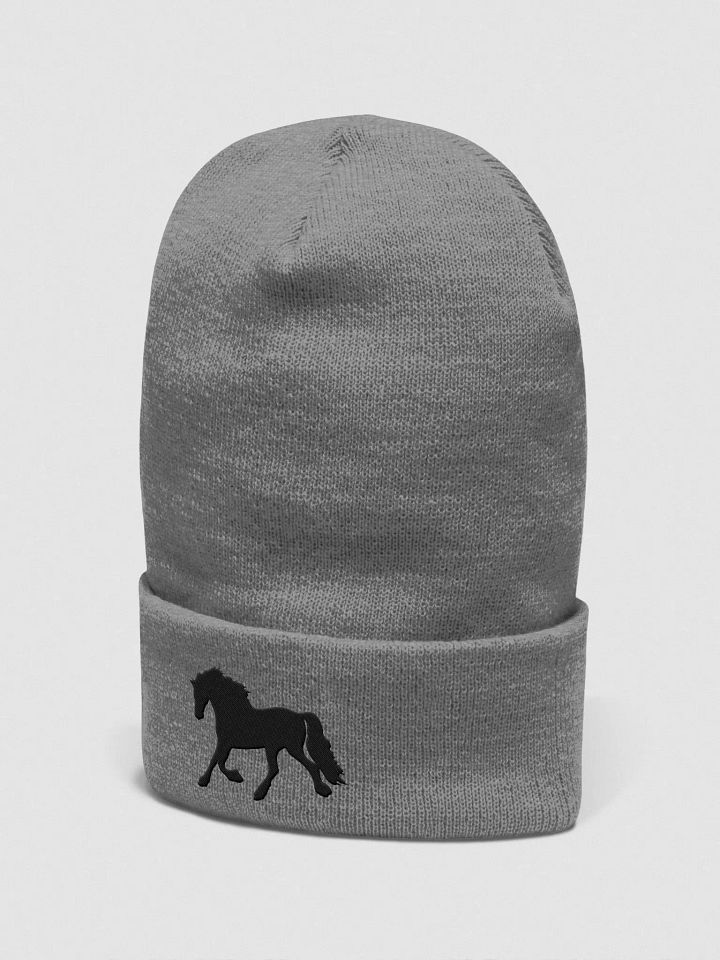 Moriesian Beanie product image (22)
