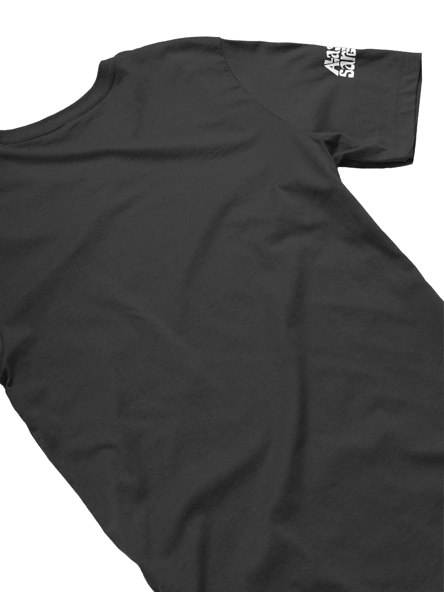 tour design #3 — tee product image (4)