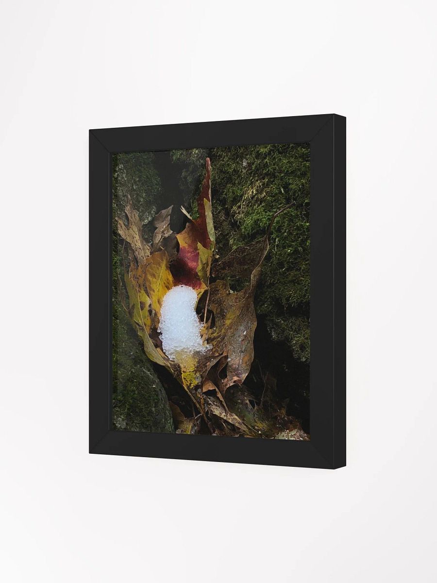 Snow in the Leaf High Quality Matte Poster product image (3)