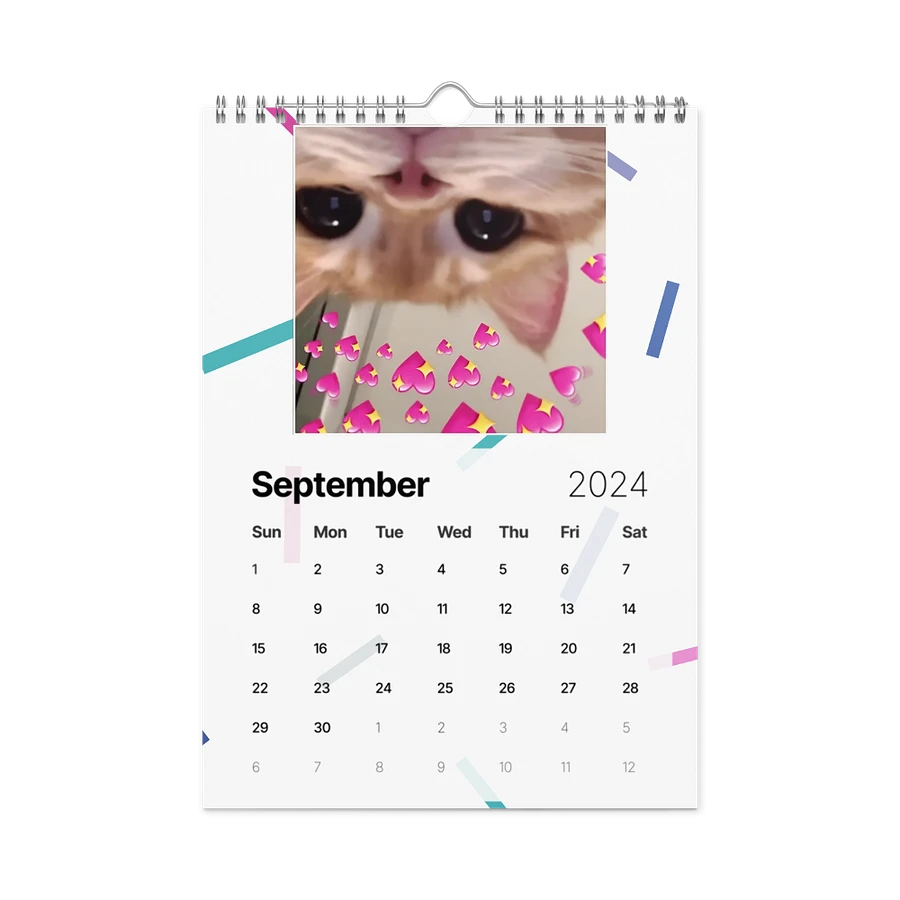 Wall Calendar (2024): Meme Cats product image (18)