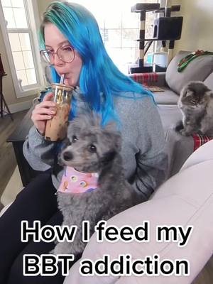 My animals judge me. 😳