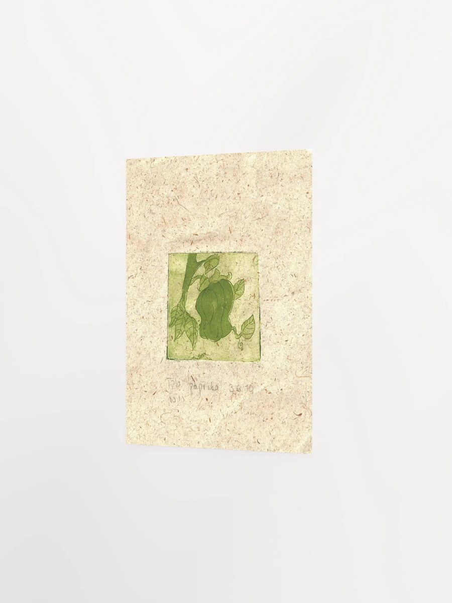 Green Paprika, Botanical Art Print product image (5)