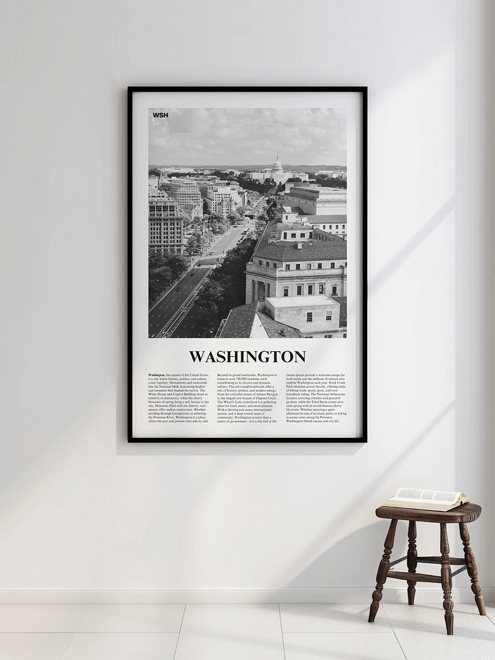 Washington 02 Newspaper Poster product image (4)