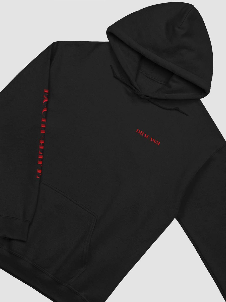 ECCHI 4LIFE HOODIE product image (3)