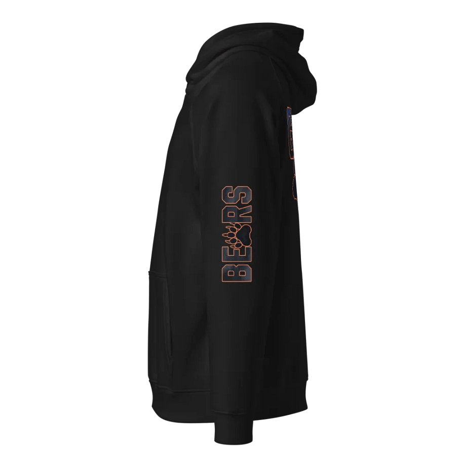Grizzly Mode Eco-Friendly Bears Pullover Hoodie | NFL Home Locker product image (7)