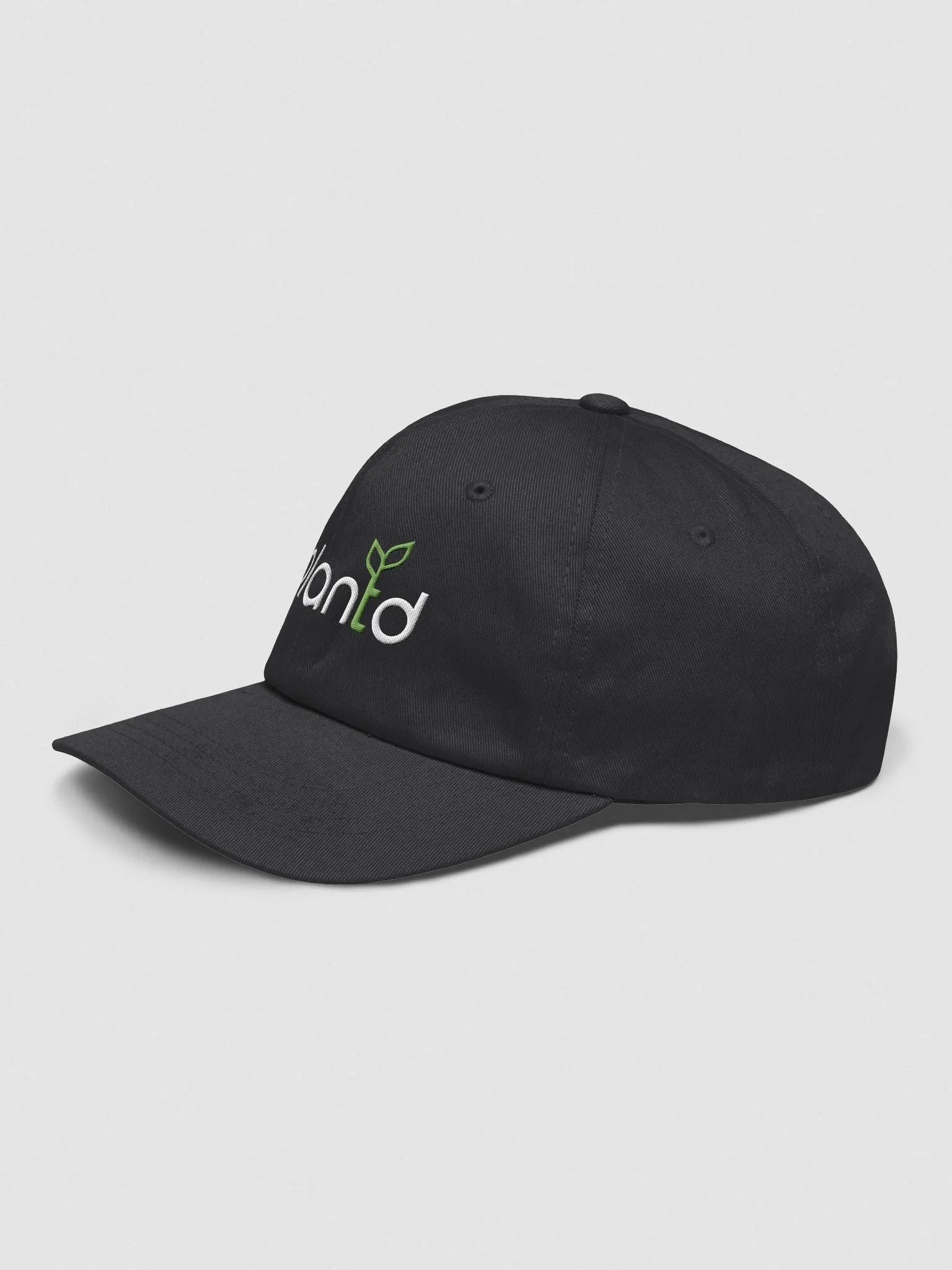 Plantd Dad Hat - Black product image (4)