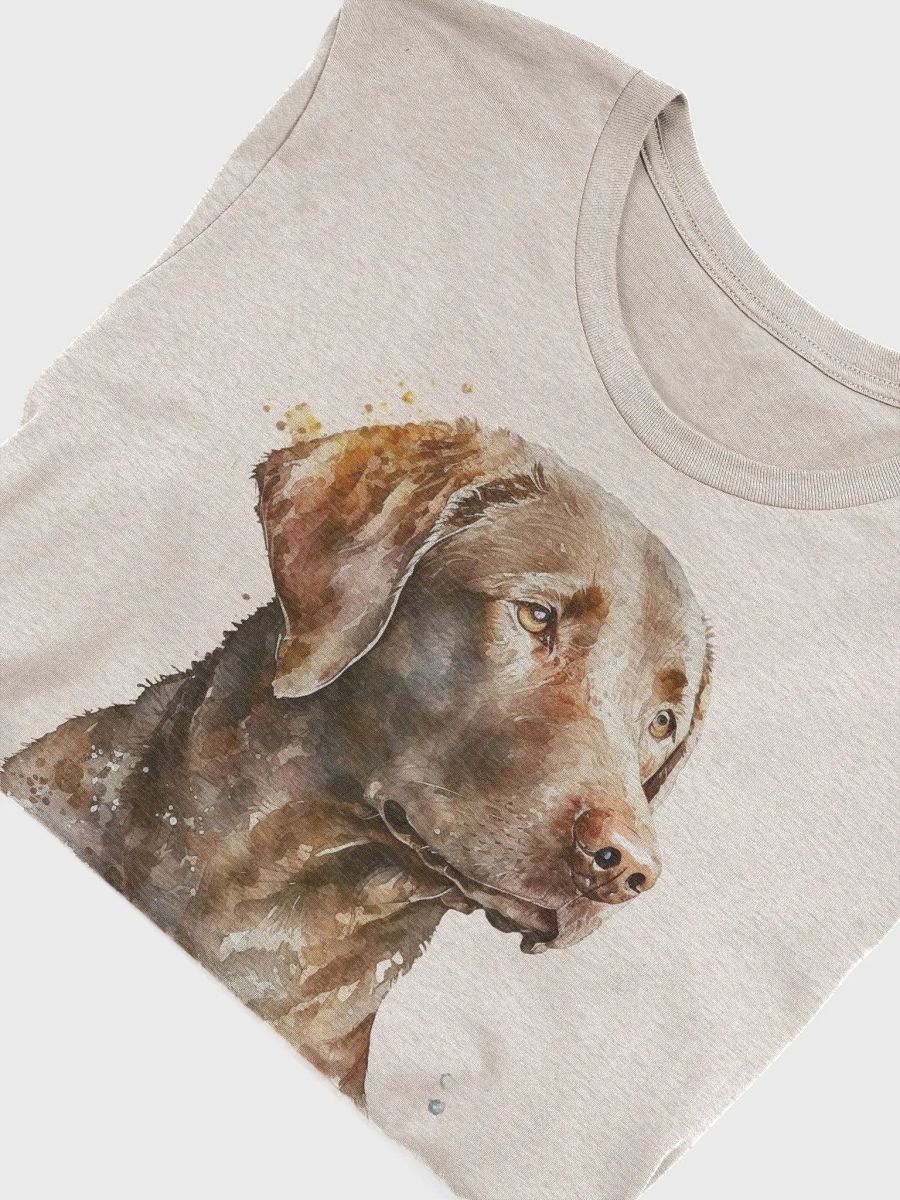Chesapeake Bay Retriever product image (3)