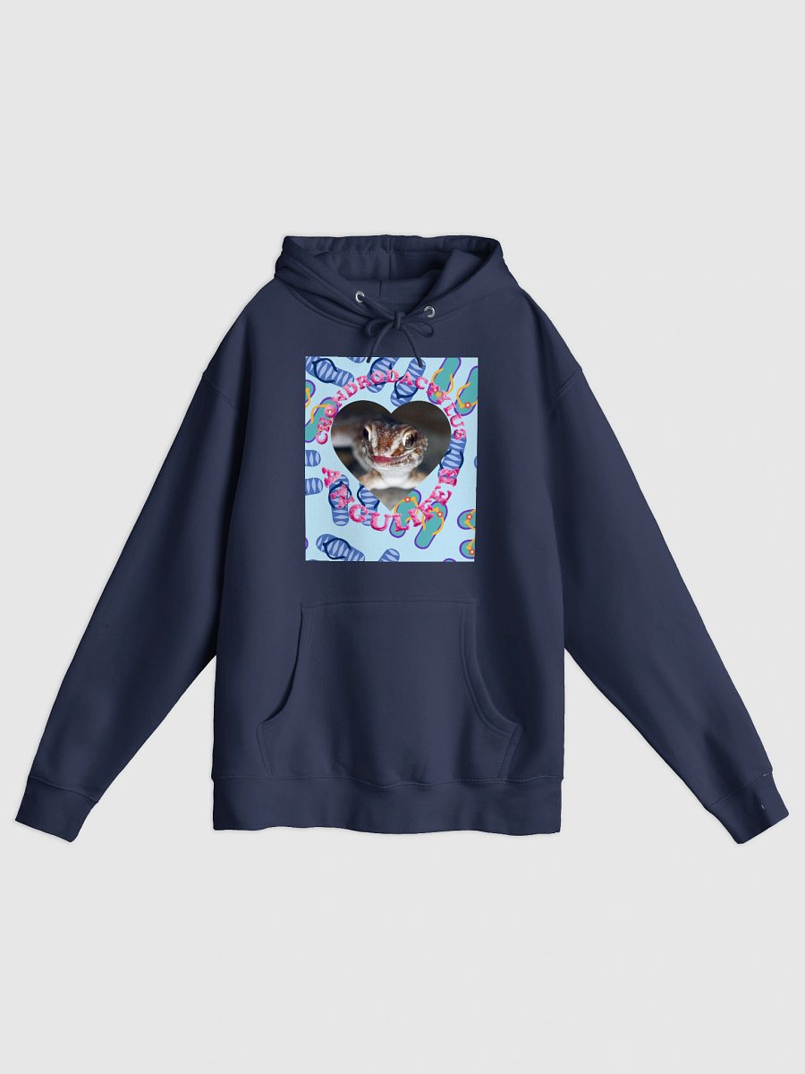Ground Gecko Summer 11 Hoodie product image (1)