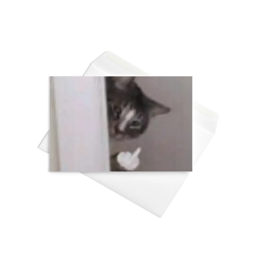 Greeting Card: Meme Cats product image (27)