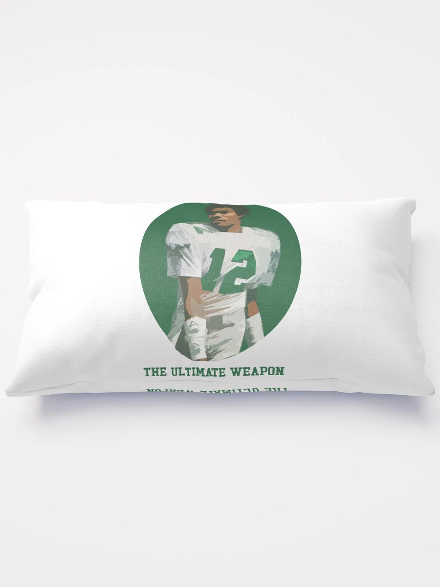 #12 THROW PILLOW product image (6)